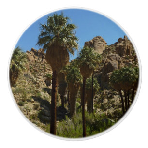 Pomo De Cerámica Oasis Lost Palms I en el Parque Nacional Joshua Tr