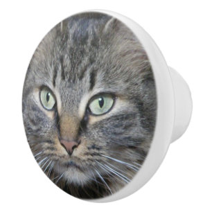 Pomo De Cerámica Ojos de gatos Main Coon