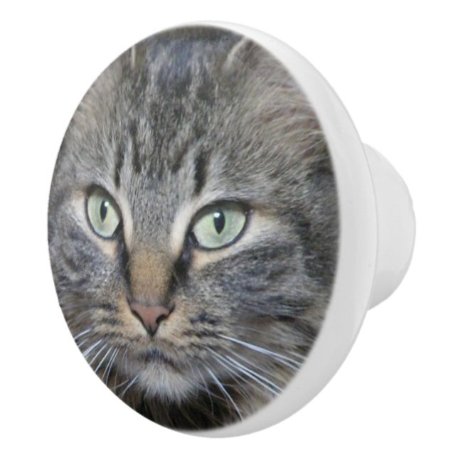 Pomo De Cerámica Ojos de gatos Main Coon (Derecha)