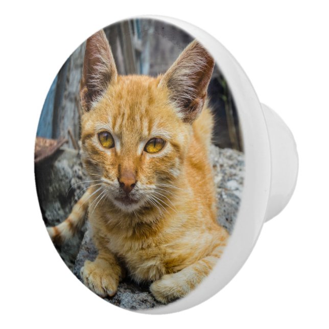 Pomo De Cerámica Ojos dorados (Derecha)