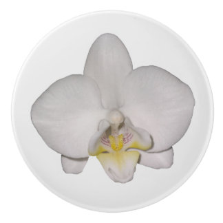 Pomo De Cerámica Orquídea Blanca