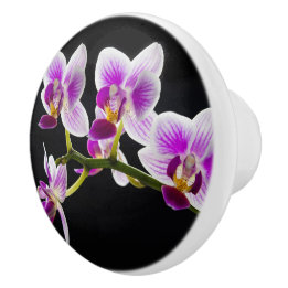 Pomo De Cerámica Orquídea blanca y púrpura