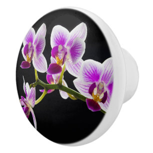 Pomo De Cerámica Orquídea blanca y púrpura