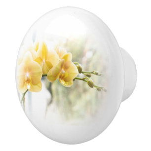 Pomo De Cerámica Orquídea de polilla amarilla en sol