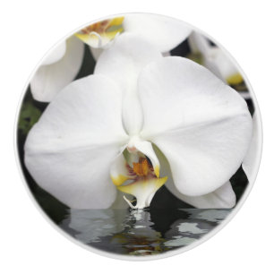 Pomo De Cerámica Orquídea saliendo del gabinete de agua y extracci