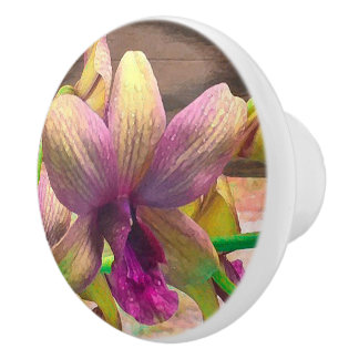 Pomo De Cerámica Orquídeas floreciendo