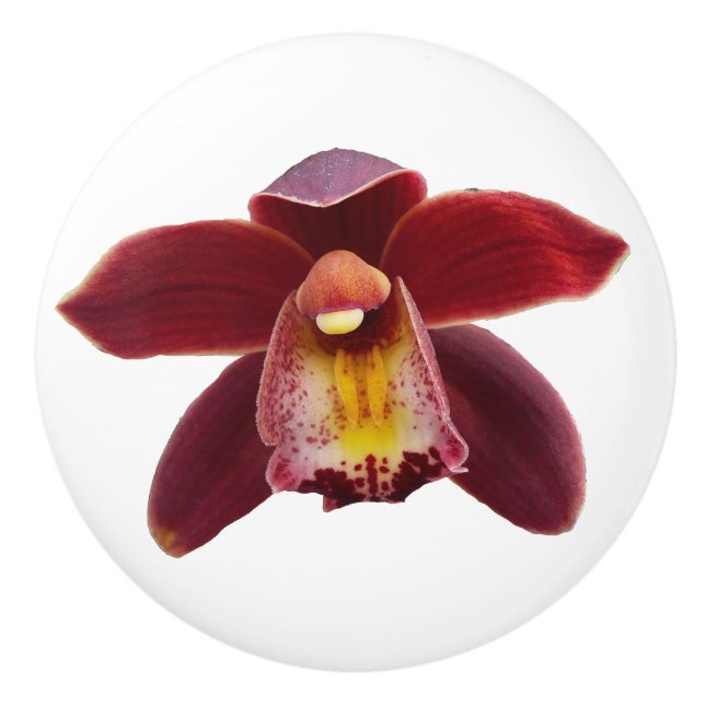 Pomo De Cerámica Orquídeas Maroon I Hermosa Floral Roja (Anverso)