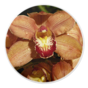 Pomo De Cerámica Orquídeas melocotón con florales de gotas de lluvi