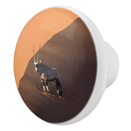 Pomo De Cerámica Oryx al borde, Namibia