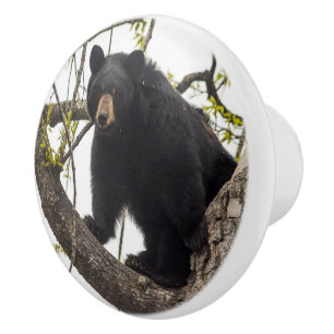 Pomo De Cerámica Oso negro que sube