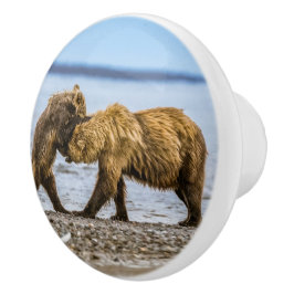 Pomo De Cerámica Osos marrones costeros