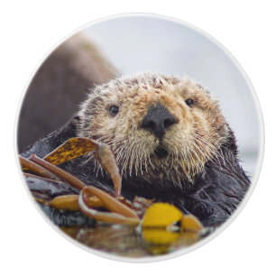 Pomo De Cerámica Otter Surprise Knob
