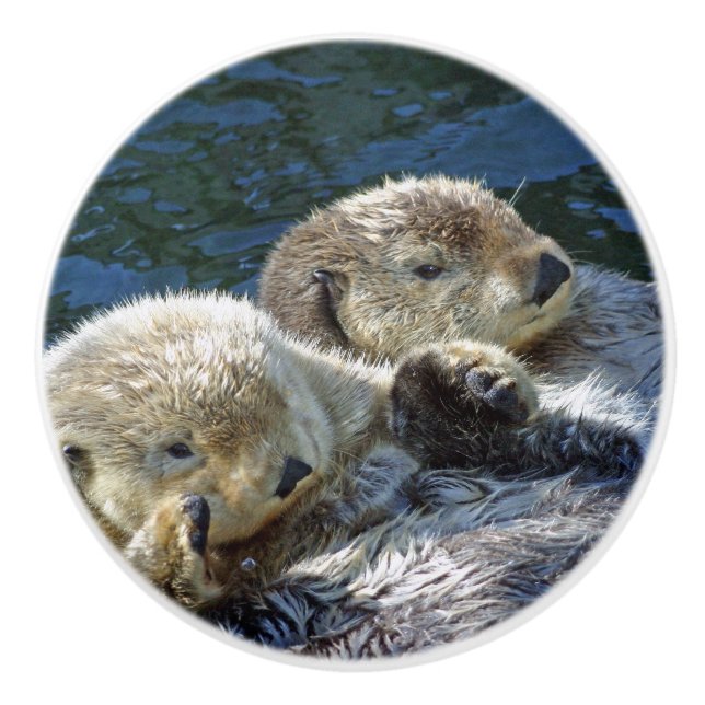 Pomo De Cerámica Otters del mar (Anverso)