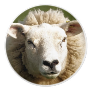 POMO DE CERÁMICA OVEJAS