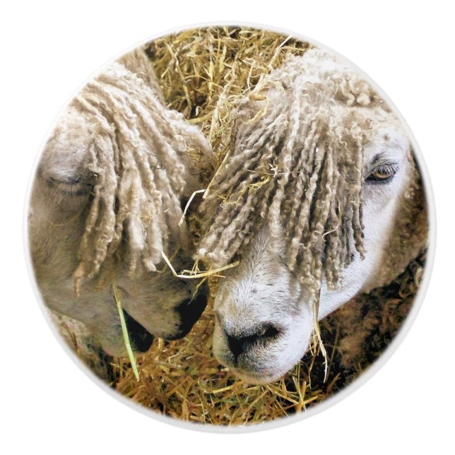 POMO DE CERÁMICA OVEJAS (Anverso)