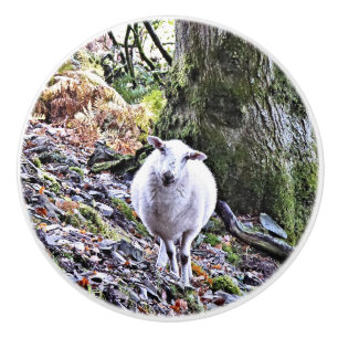 POMO DE CERÁMICA OVEJAS CUIDADAS