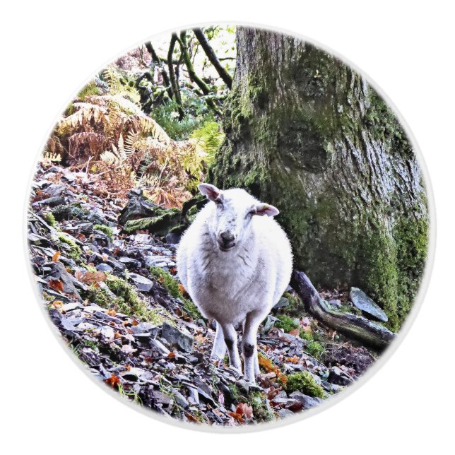 POMO DE CERÁMICA OVEJAS CUIDADAS (Anverso)