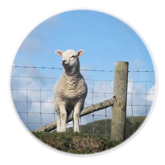 POMO DE CERÁMICA OVEJAS CUIDADAS (Anverso)