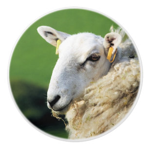 POMO DE CERÁMICA OVEJAS CUIDADAS