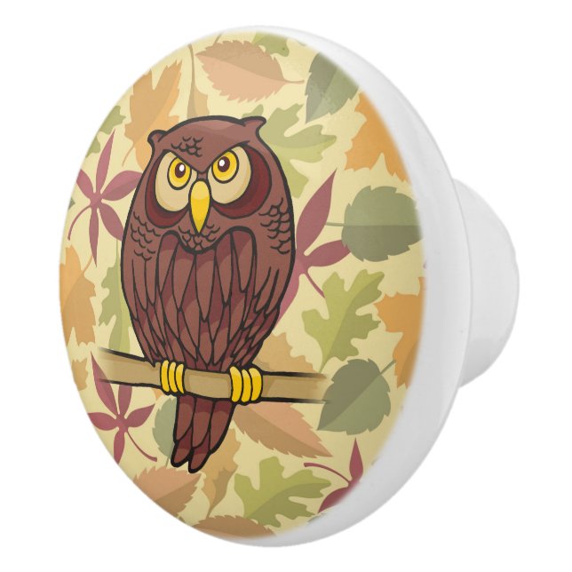 Pomo De Cerámica Owl Personalizado (Derecha)