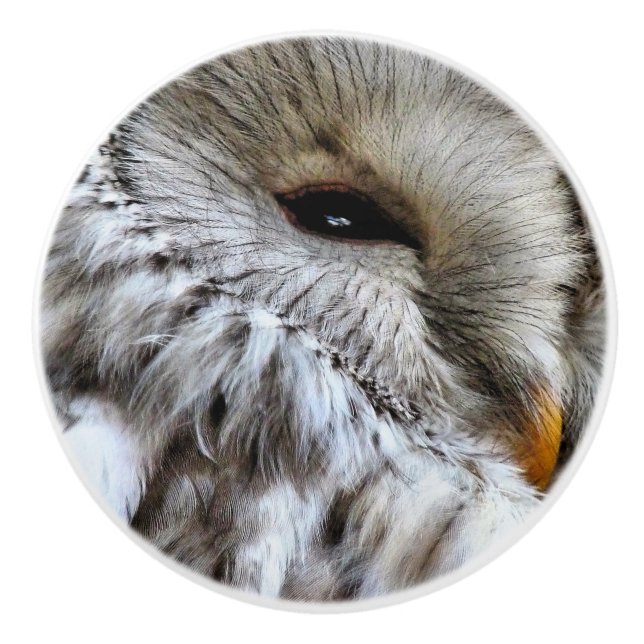 POMO DE CERÁMICA OWLS (Anverso)