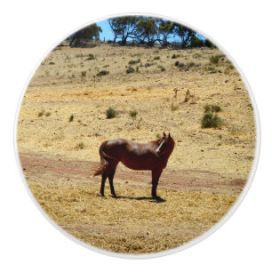Pomo De Cerámica País de Caballos Marrones,
