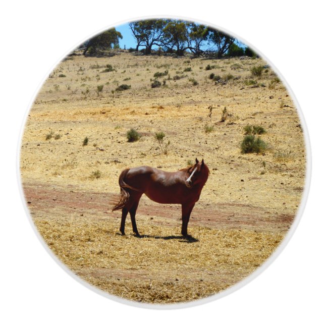 Pomo De Cerámica País de Caballos Marrones, (Anverso)
