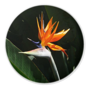 Pomo De Cerámica Pájaro del Naranja del paraíso Flor tropical