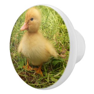 Pomo De Cerámica pájaro, pato, pato, amarillo, naturaleza, lindo, b