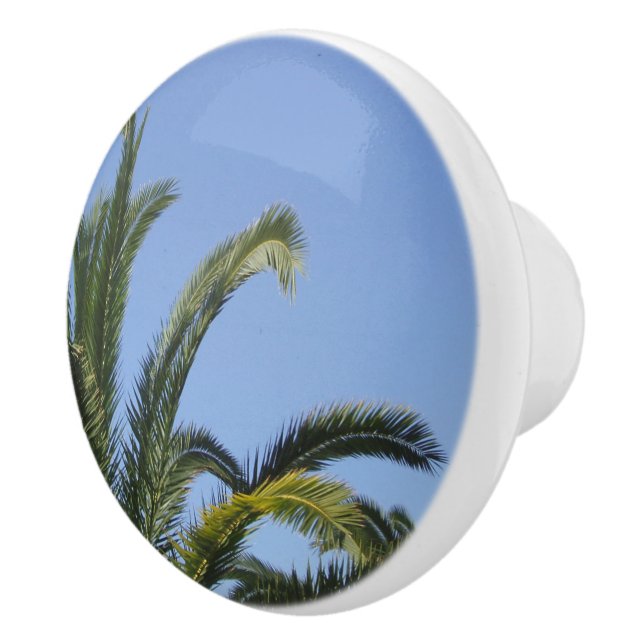 Pomo De Cerámica Palm tropical (Derecha)