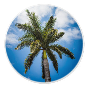 Pomo De Cerámica Palmera jamaicana