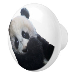 Pomo De Cerámica Panda