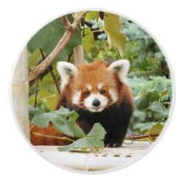 Pomo De Cerámica Panda Rojo