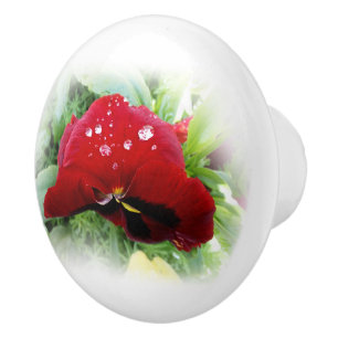 Pomo De Cerámica Panda rojo brillante