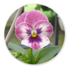 Pomo de cerámica pansy (rosa y púrpura)