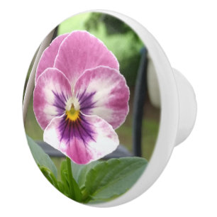 Pomo de cerámica pansy (rosa y púrpura)