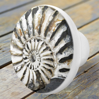Pomo De Cerámica Pañuelo cerámico de espiral de fósil náutico Petri