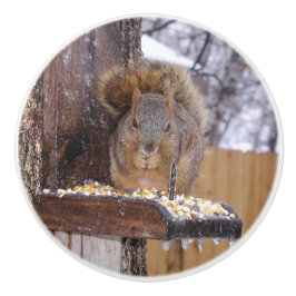 Pomo De Cerámica Pañuelos de ardilla