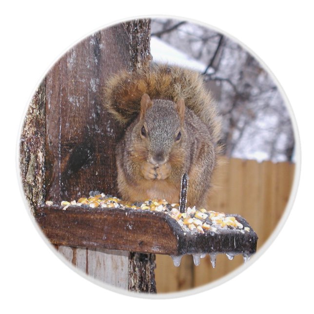 Pomo De Cerámica Pañuelos de ardilla (Anverso)