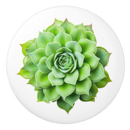 Pomo De Cerámica Pañuelos de cerámica floral