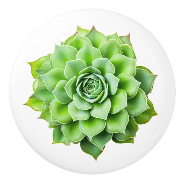 Pomo De Cerámica Pañuelos de cerámica floral (Anverso)