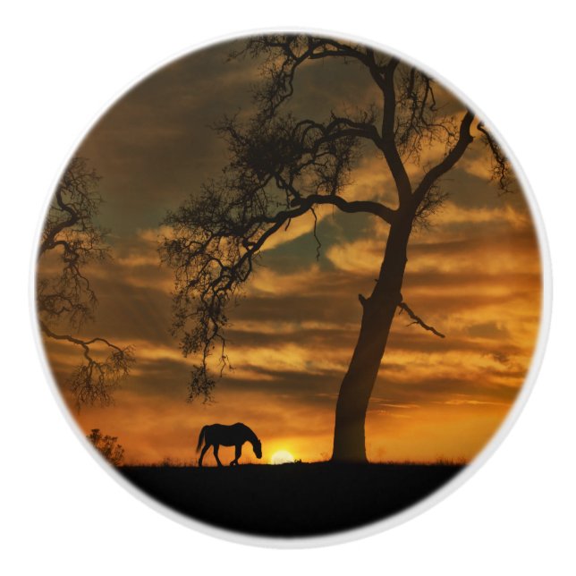 Pomo De Cerámica Pañuelos y crías del suroeste (Anverso)