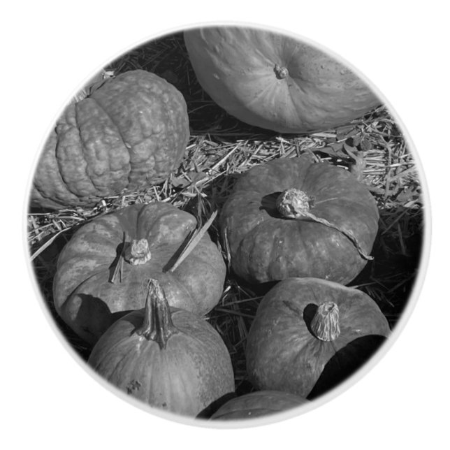 Pomo De Cerámica Parche de calabaza (Anverso)