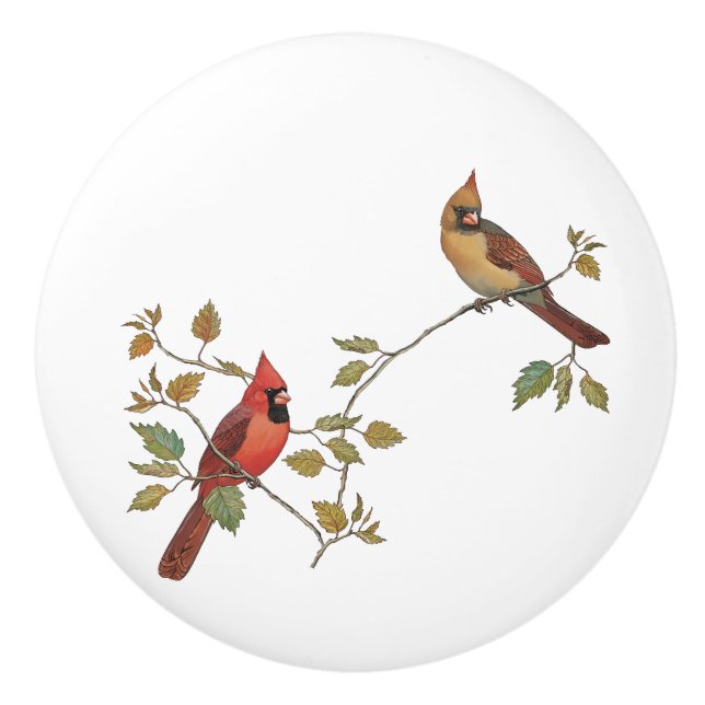 Pomo De Cerámica Pareja cardinal (Anverso)
