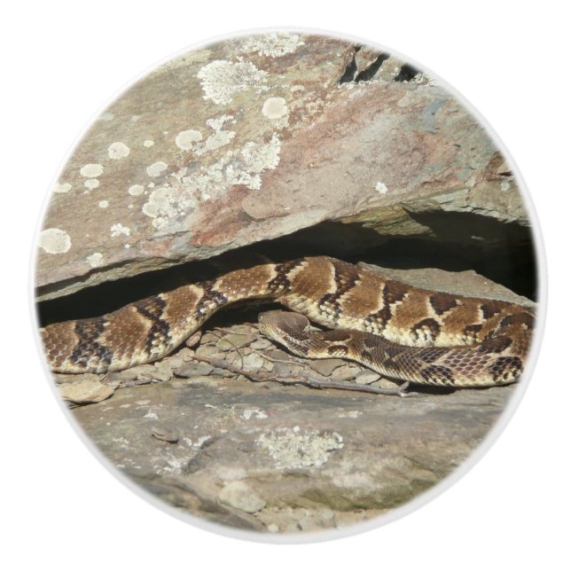 Pomo De Cerámica Pastelería en el Parque Nacional de Shenandoah (Anverso)