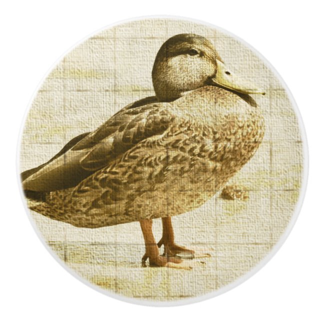 Pomo De Cerámica Pato de cerámica (Anverso)