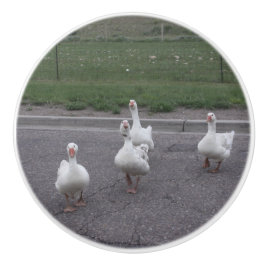 Pomo De Cerámica Pato de cerámica