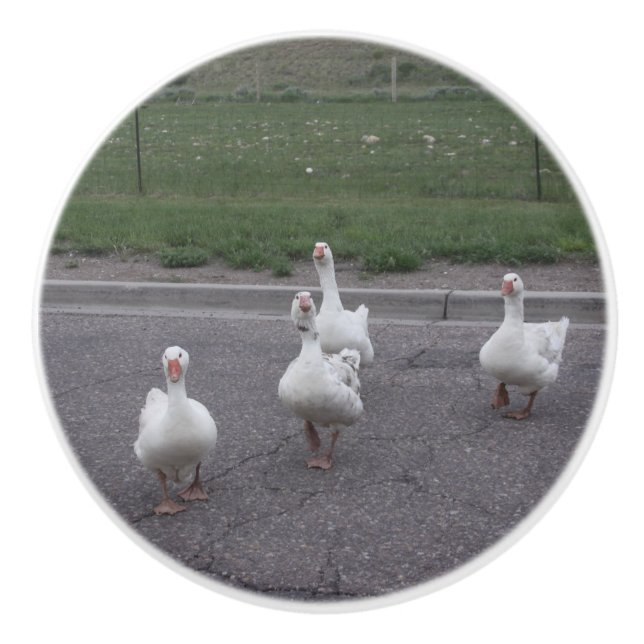 Pomo De Cerámica Pato de cerámica (Anverso)