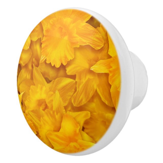 Pomo De Cerámica Patrón de flores de narciso (Derecha)