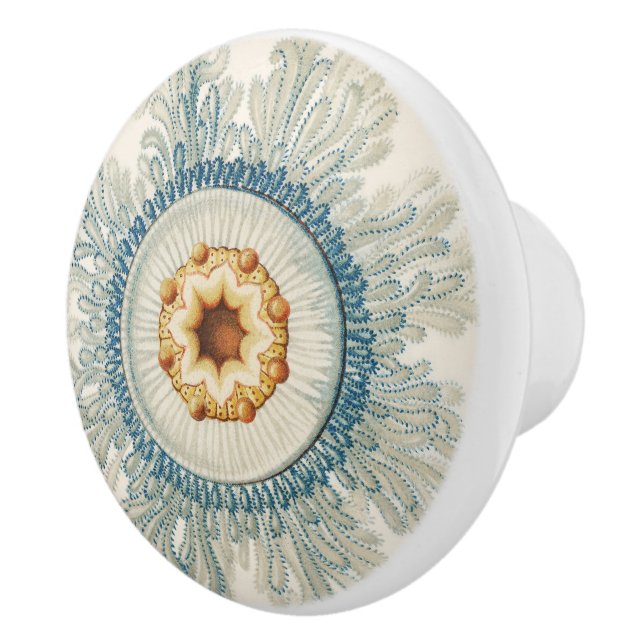 Pomo De Cerámica Patrón de Mandala coral (Derecha)